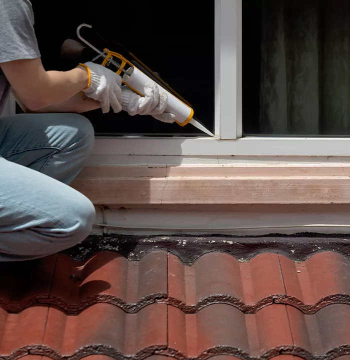 Roof Window Services in Alameda, California